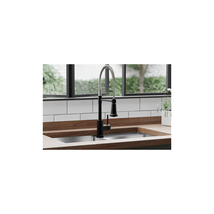 Elkay Avado Pull Down Single Handle Kitchen Faucet & Reviews Wayfair